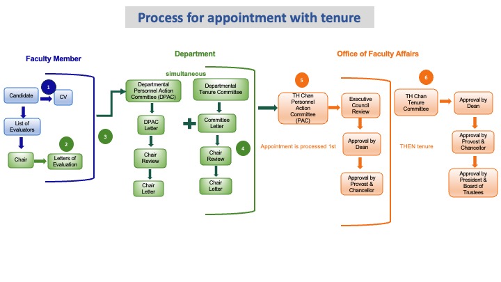 Faculty appointment with tenure diagram