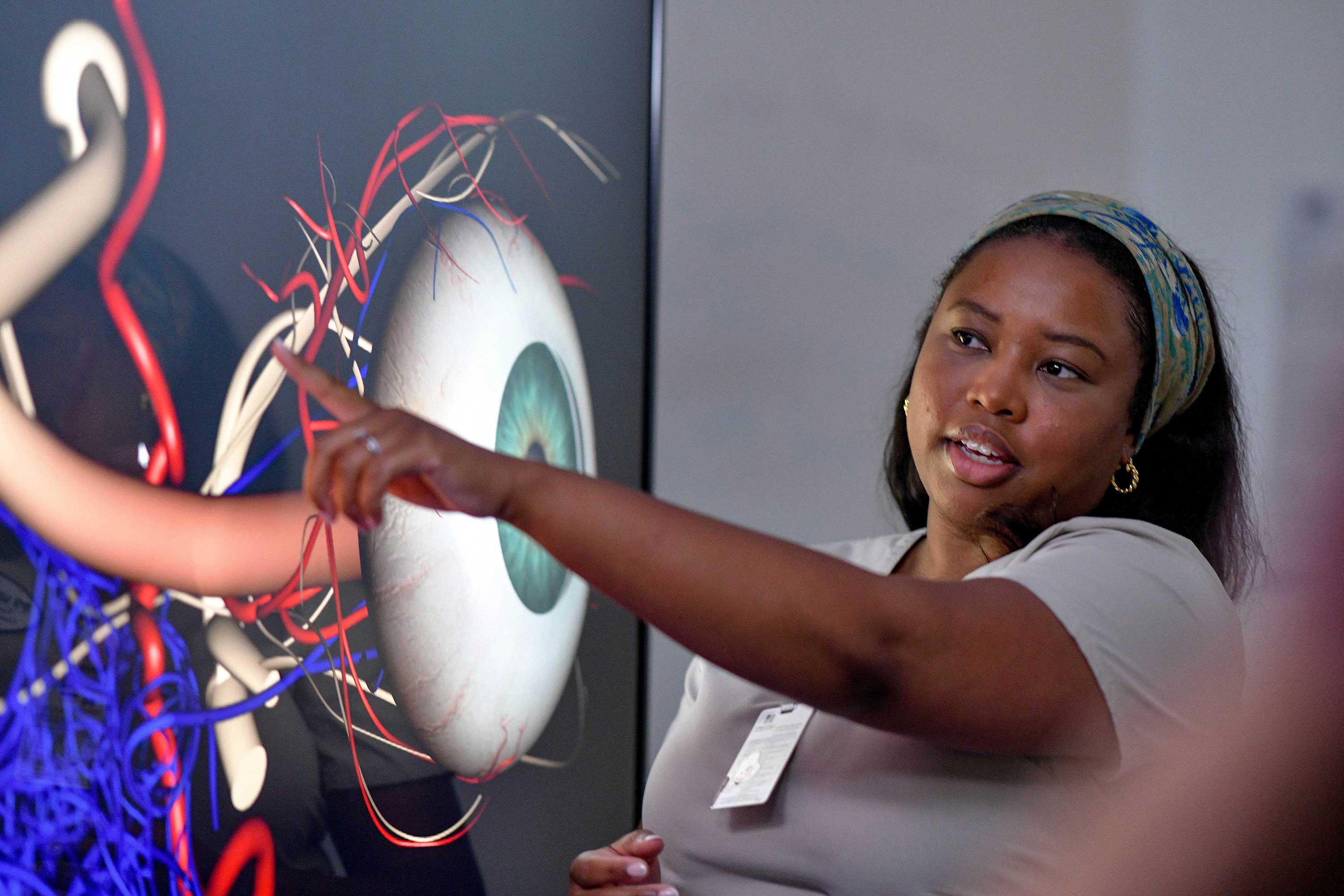 person presenting an image of an eyeball and how it functions