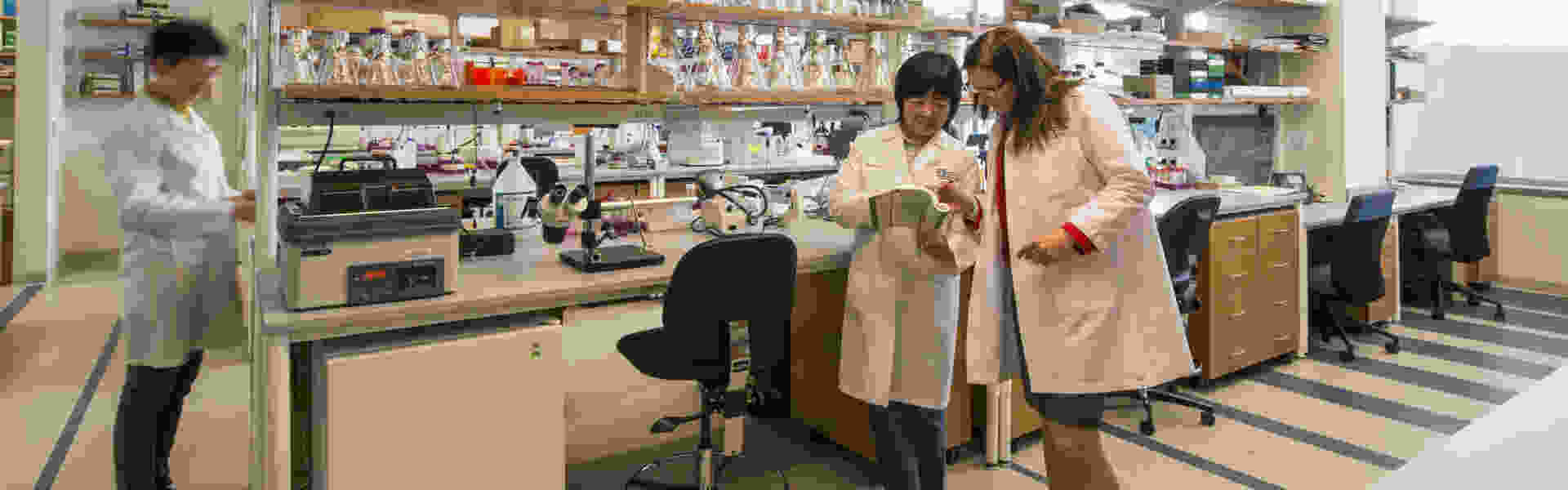 integrated-biomarkers-core-slider.jpg