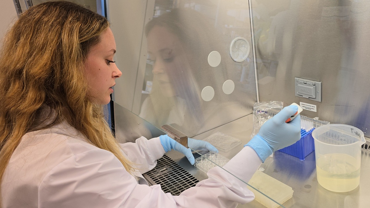 Graduate student working in the lab
