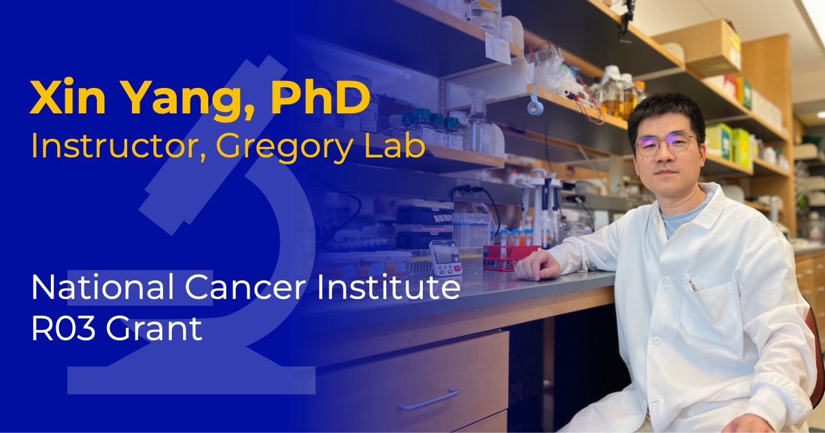 Headshot of Xin Yang with overlaid text reading “Xin Yang, PhD” and “National Cancer Institute R03 Grant.”