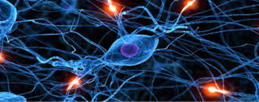 Image of neurons