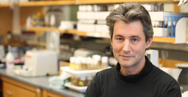 Patrick Emery receives NSF grant "Molecular and neural mechanisms controlling circatidal rhythms in Parhyale hawaiensis"