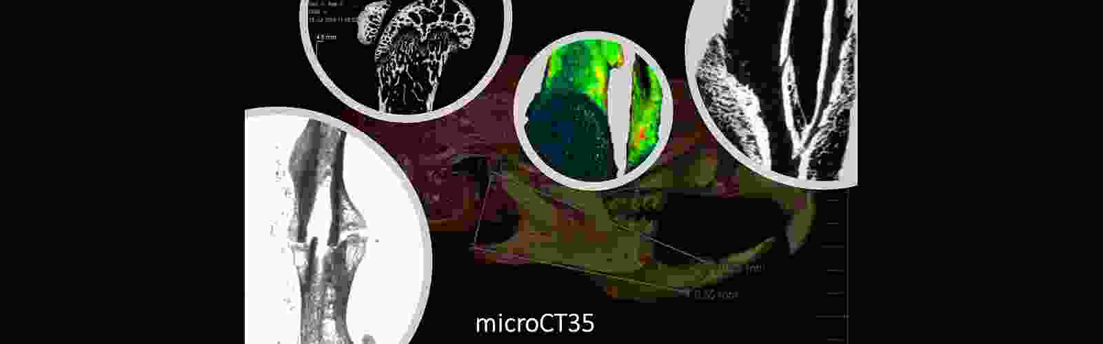 Bone-Core-slide1.png