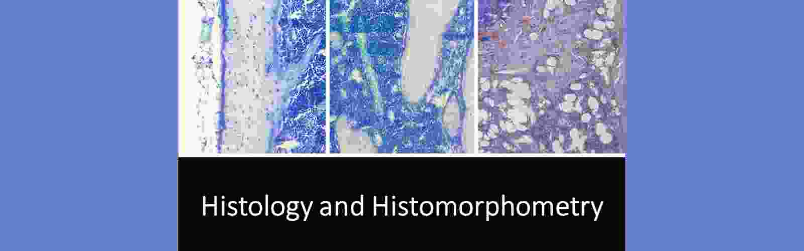 bonecore-slide4.png