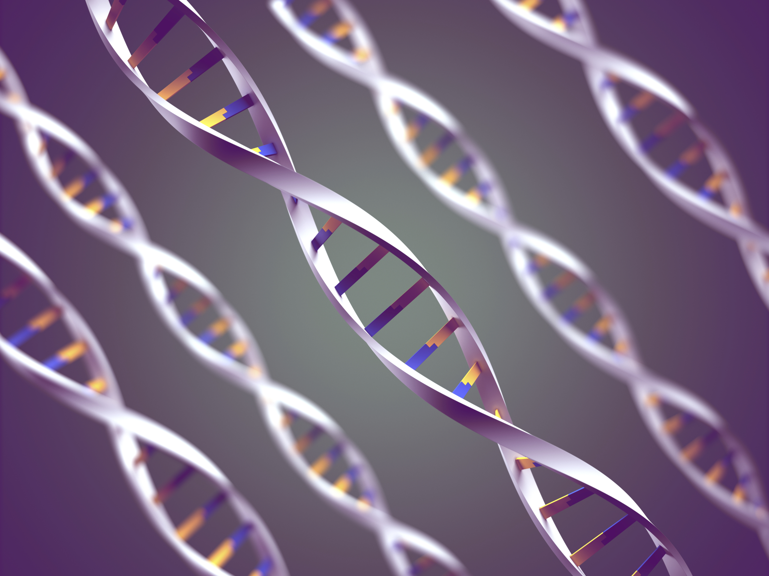 genetics.jpg